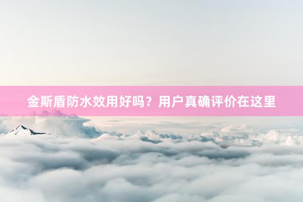 金斯盾防水效用好吗？用户真确评价在这里